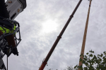 IMG_20220501_104408
