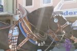 IMG_20260502_115244