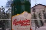 20181102_165156