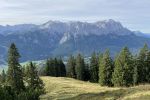 IMG_6287