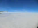 CIMG8537.JPG