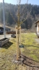 20160320_111859