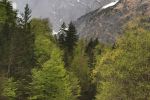 IMG_20260419_112630