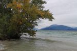 IMG_20241019_112003