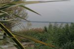 IMG_20241019_113158