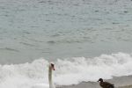 IMG_20241019_113934