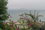 IMG_20241019_114249
