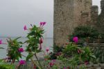 IMG_20241019_114256