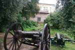 IMG_20241019_155012