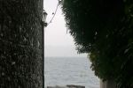 IMG_20241019_160716