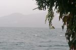 IMG_20241019_160728