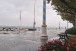 IMG_20241019_161223