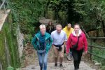 IMG_20241020_114119