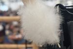 IMG_3336